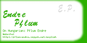 endre pflum business card